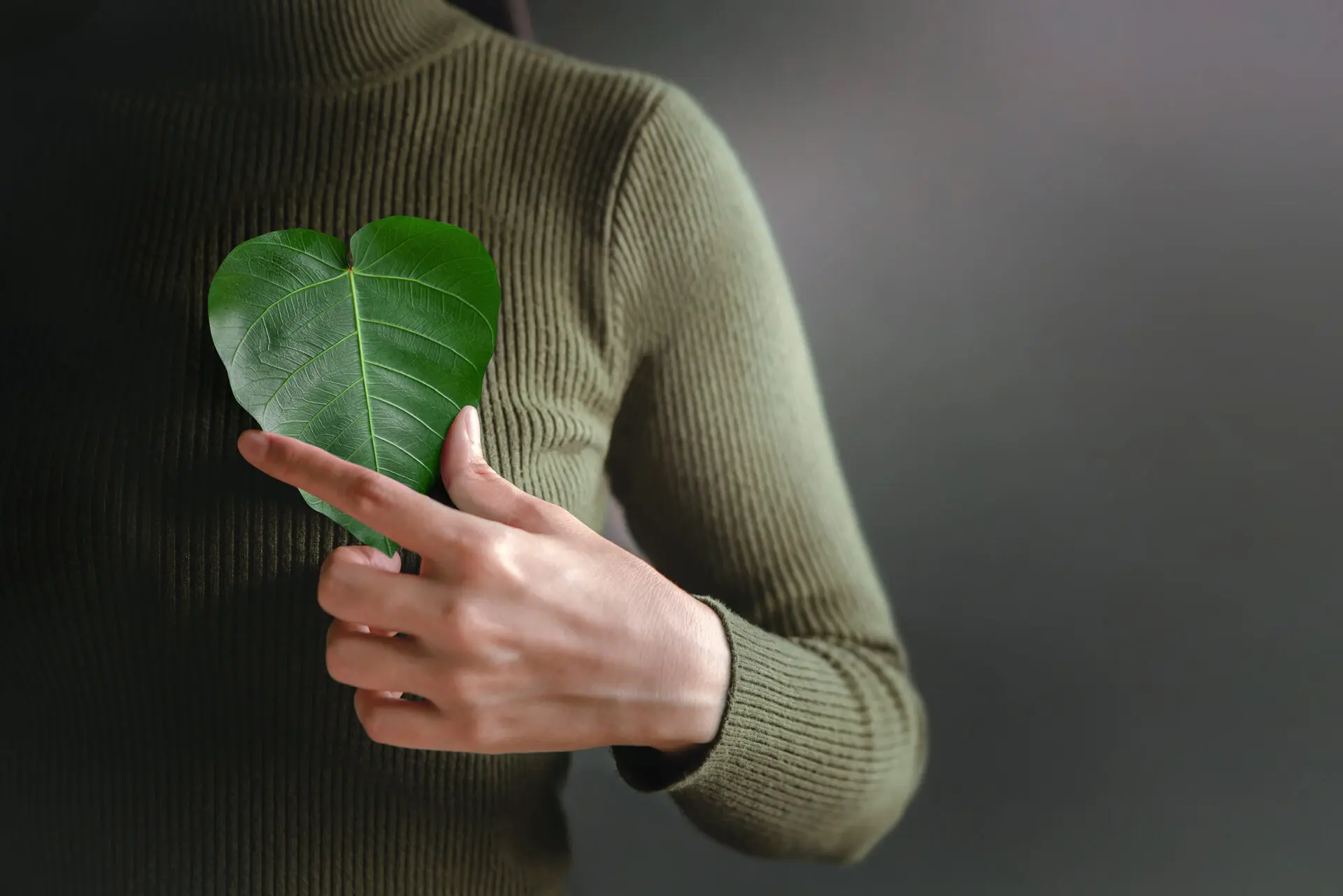 Green Energy, Renewable and Sustainable Resources. Environmental and Ecology Care Concept.